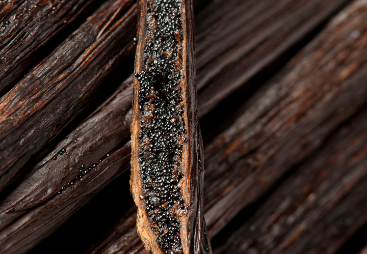 Close-up of a vanilla bean pod with visible seeds.